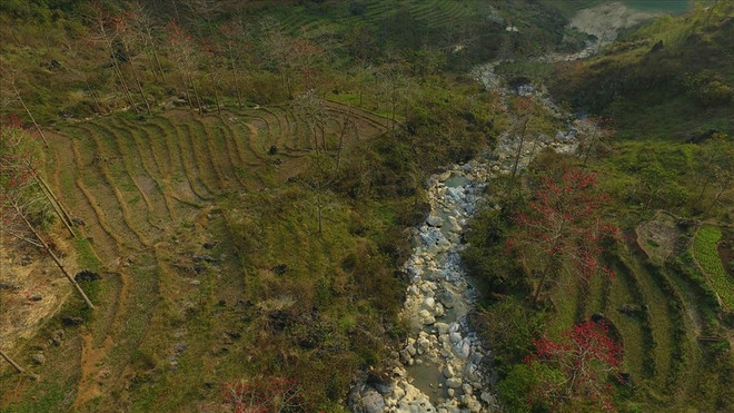 Celebran por primera vez Festival de flor de algodonero rojo en Meo Vac ảnh 1