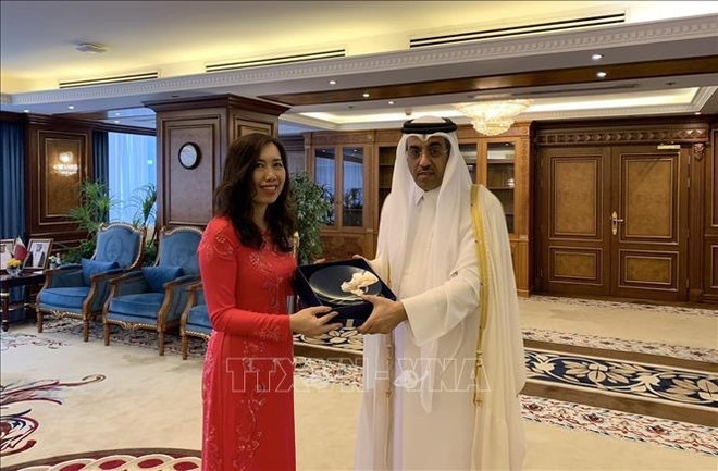 Vietnam y Qatar promueven cooperación en campos potenciales ảnh 2 Vietnam y Qatar promueven cooperación en campos potenciales ảnh 2