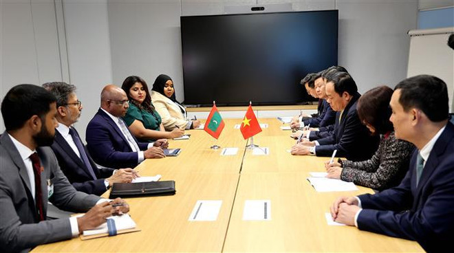 Vicepremier vietnamita se reúne con dirigentes de países y organizaciones internacionales ảnh 3 Vicepremier vietnamita se reúne con dirigentes de países y organizaciones internacionales ảnh 3