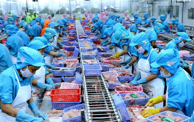 Ciudad Ho Chi Minh traza alta meta para seguridad alimentaria ảnh 1 Ciudad Ho Chi Minh traza alta meta para seguridad alimentaria ảnh 1