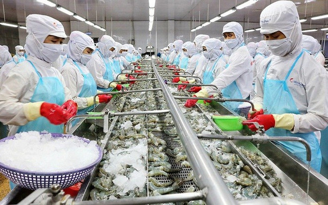 Producción acuática de Vietnam alcanza 1,18 millones de toneladas ảnh 1 Producción acuática de Vietnam alcanza 1,18 millones de toneladas ảnh 1