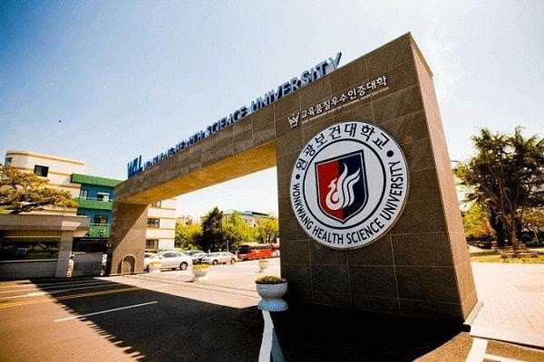 Ofrecen asistencia médica para vietnamitas en Corea del Sur ảnh 1