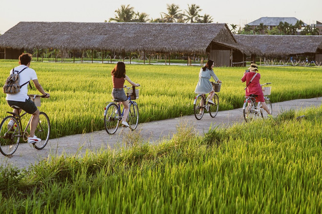 Provincia vietnamita por fomentar turismo agrícola ảnh 1 Provincia vietnamita por fomentar turismo agrícola ảnh 1