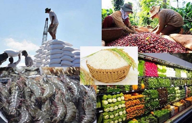 Exportaciones agroforestales y acuáticas vietnamitas disminuyeron en febrero ảnh 1 Exportaciones agroforestales y acuáticas vietnamitas disminuyeron en febrero ảnh 1