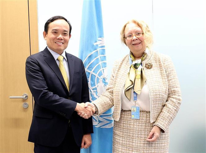 Vicepremier vietnamita se reúne con dirigentes de países y organizaciones internacionales ảnh 5 Vicepremier vietnamita se reúne con dirigentes de países y organizaciones internacionales ảnh 5