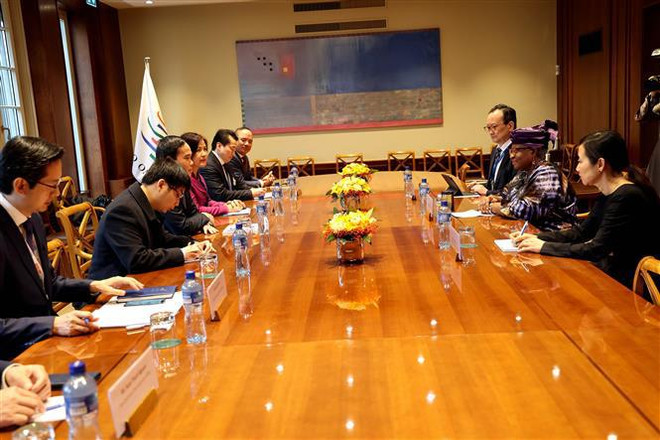 Vicepremier vietnamita se reúne con dirigentes de países y organizaciones internacionales ảnh 4 Vicepremier vietnamita se reúne con dirigentes de países y organizaciones internacionales ảnh 4