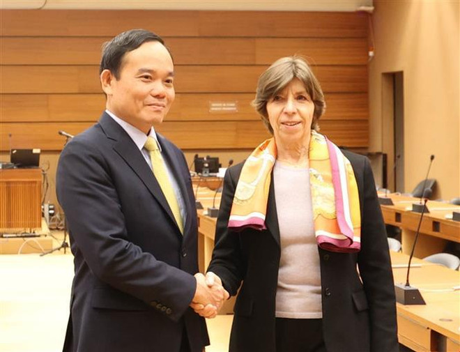 Vicepremier vietnamita se reúne con dirigentes de países y organizaciones internacionales ảnh 2 Vicepremier vietnamita se reúne con dirigentes de países y organizaciones internacionales ảnh 2