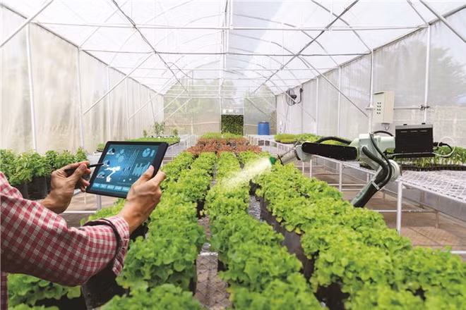 Bac Giang desarrolla nuevas zonas rurales ligadas con transformación digital ảnh 2