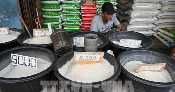 Indonesia enfrentará déficit de arroz en 2023 ảnh 1
