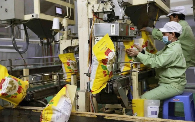 Grandes oportunidades para la exportación de arroz vietnamita ảnh 1 Grandes oportunidades para la exportación de arroz vietnamita ảnh 1