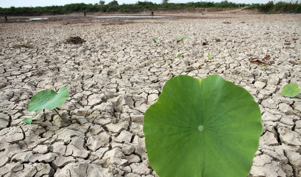 Cambio climático afecta a gran parte de la población de Camboya ảnh 1 Cambio climático afecta a gran parte de la población de Camboya ảnh 1