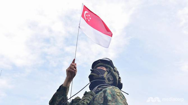 Posponen Desfile del Día Nacional de Singapur por COVID-19 ảnh 1