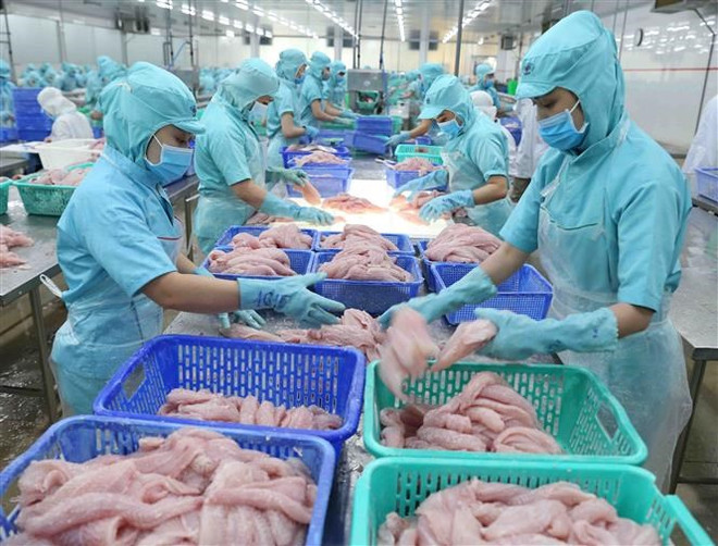 Crecen exportaciones de productos acuáticos vietnamitas a la UE ảnh 1