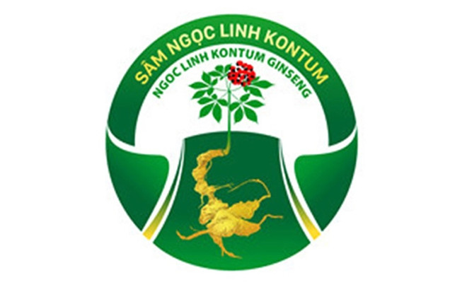 Certifican marca de productos agrícolas y medicinales de provincia vietnamita ảnh 1