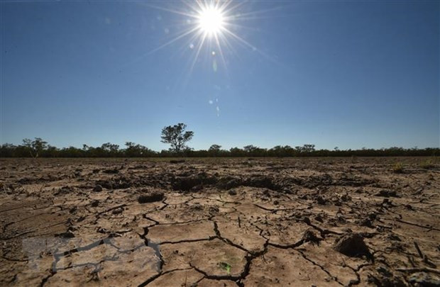 Establecen en Vietnam red de empresas para adaptarse al cambio climático ảnh 1 Establecen en Vietnam red de empresas para adaptarse al cambio climático ảnh 1