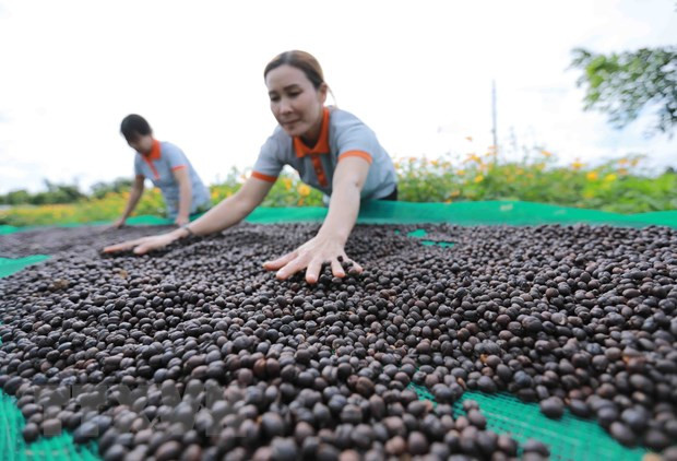 Recuperación económica de Vietnam prosigue segura pese a inestabilidad global ảnh 1 Recuperación económica de Vietnam prosigue segura pese a inestabilidad global ảnh 1