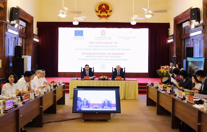 Perfeccionar leyes de justicia infantil genera interés en Vietnam ảnh 1