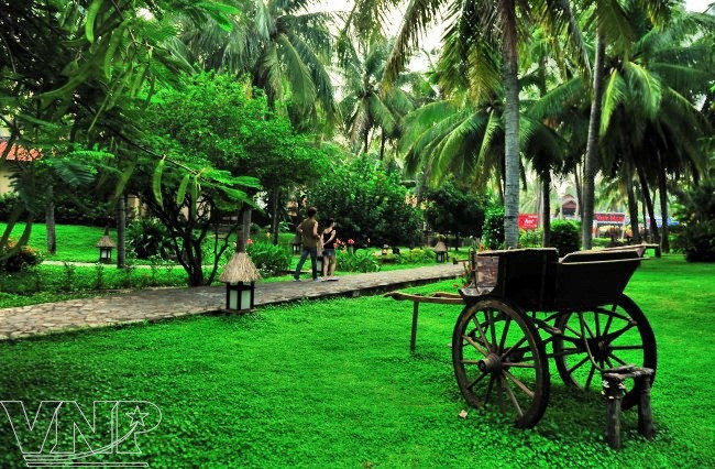 Turismo ecológico en Mui Ne ảnh 4