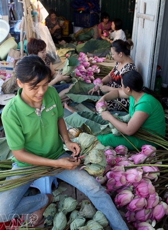 Temporada de lotos en Hanoi ảnh 14