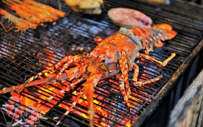 Turismo ecológico en Mui Ne ảnh 7