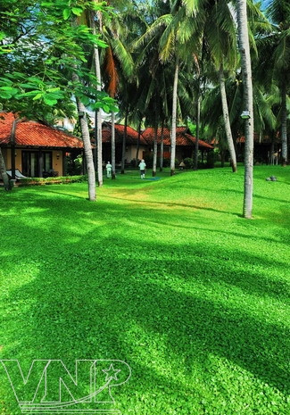 Turismo ecológico en Mui Ne ảnh 8