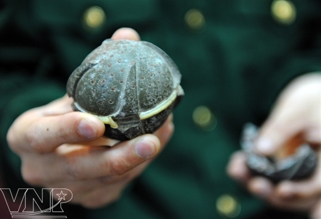 Bombas y minas, una presencia indeseada en vida vietnamita ảnh 4