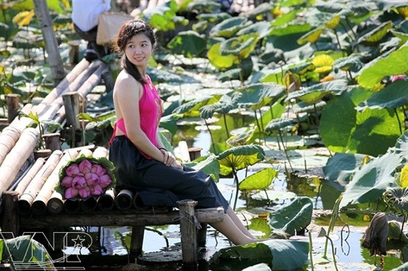 Temporada de lotos en Hanoi ảnh 6