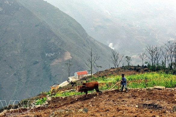 Meseta rocosa Dong Van ảnh 7