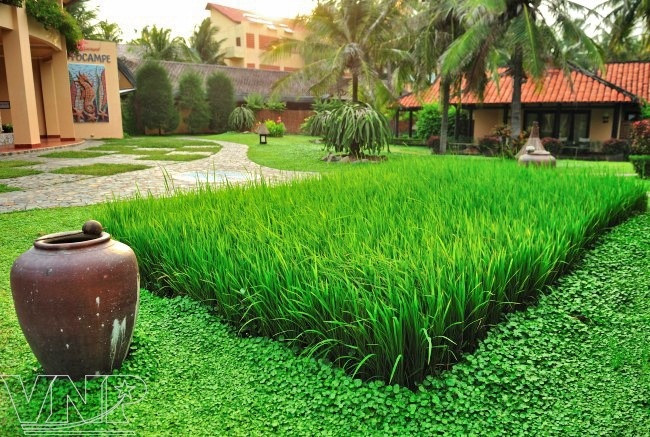 Turismo ecológico en Mui Ne ảnh 2