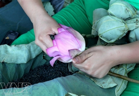 Temporada de lotos en Hanoi ảnh 13