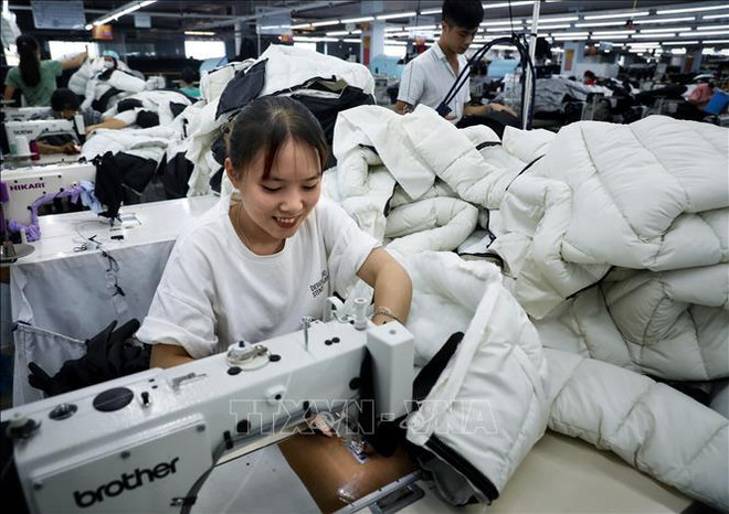 Vietnam y Corea del Sur fortalecen cooperación textil ảnh 1 Vietnam y Corea del Sur fortalecen cooperación textil ảnh 1