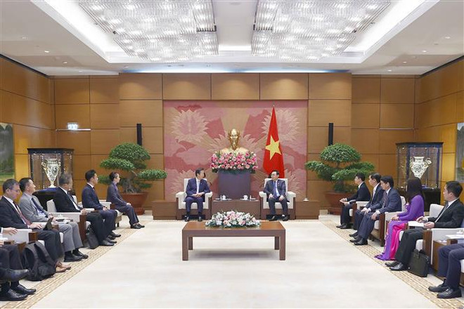 Relaciones Vietnam-Japón se basan en confianza política ảnh 2 Relaciones Vietnam-Japón se basan en confianza política ảnh 2
