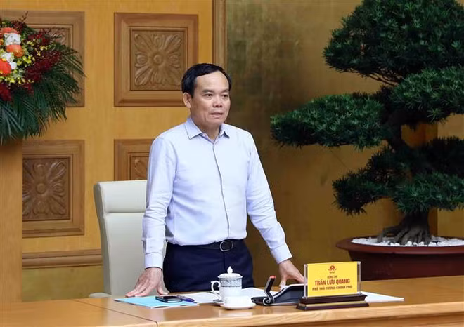 Vicepremier insta a adoptar medidas drásticas para eliminar tarjetas amarillas ảnh 2