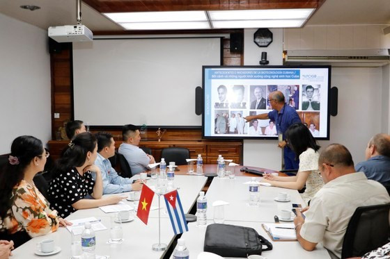 Ciudad Ho Chi Minh y Cuba colaboran en diversos campos ảnh 2