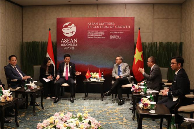 Vietnam e Indonesia promueven cooperación económica y comercial ảnh 1 Vietnam e Indonesia promueven cooperación económica y comercial ảnh 1