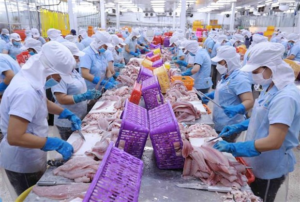 Experto alemán evalúa positivamente ventajas brindadas por EVFTA ảnh 1 Experto alemán evalúa positivamente ventajas brindadas por EVFTA ảnh 1