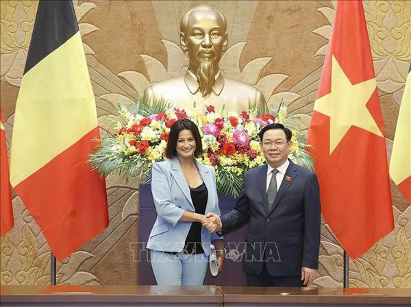 Presidenta del Senado belga concluye con éxito visita a Vietnam ảnh 1 Presidenta del Senado belga concluye con éxito visita a Vietnam ảnh 1