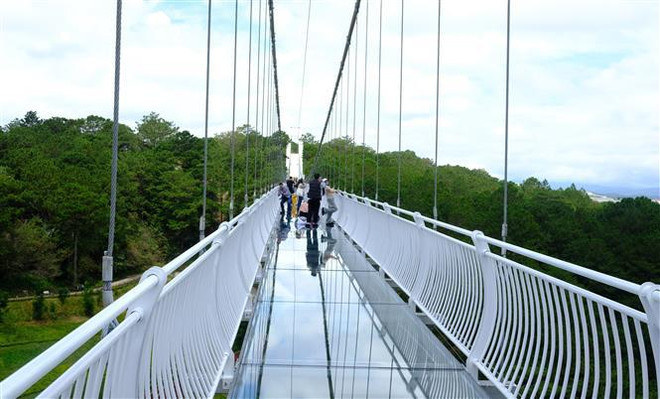 Inauguración del primer puente de vidrio promete atraer más visitantes a Da Lat ảnh 2