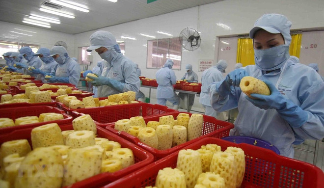 Ventas de hortalizas y frutas de Vietnam se disparan con un aumento del 57,5% ảnh 1 Ventas de hortalizas y frutas de Vietnam se disparan con un aumento del 57,5% ảnh 1