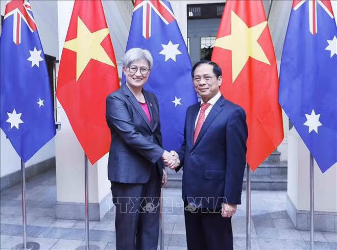 Efectúan quinta Reunión de Cancilleres Vietnam-Australia ảnh 1