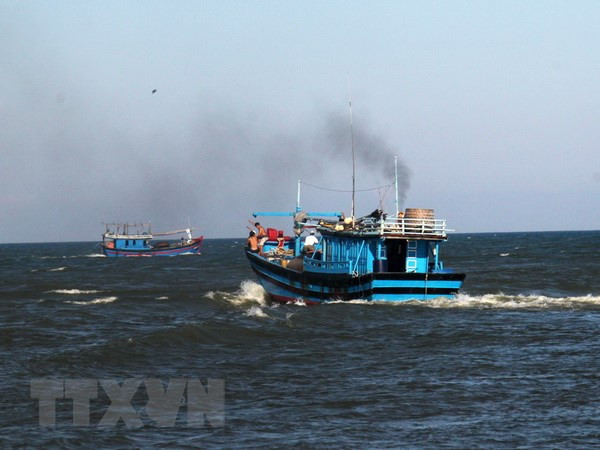 Pescadores vietnamitas dicen “No” a la pesca ilegal ảnh 1 Pescadores vietnamitas dicen “No” a la pesca ilegal ảnh 1