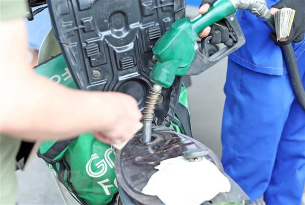 Premier vietnamita insta a monitorear información sobre importación de combustibles de Malasia ảnh 1