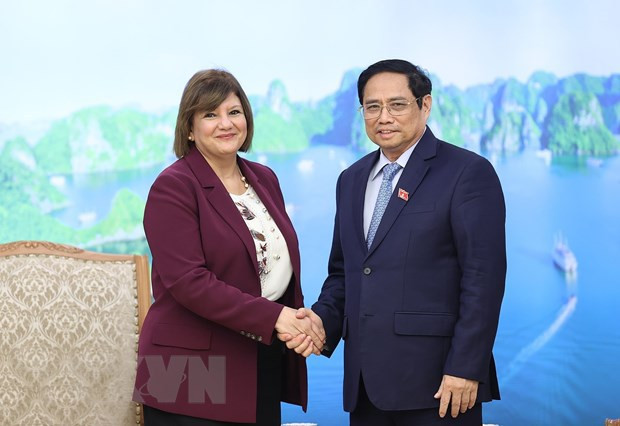 Primer ministro de Vietnam recibe a embajadores de Egipto y Mongolia ảnh 1 Primer ministro de Vietnam recibe a embajadores de Egipto y Mongolia ảnh 1