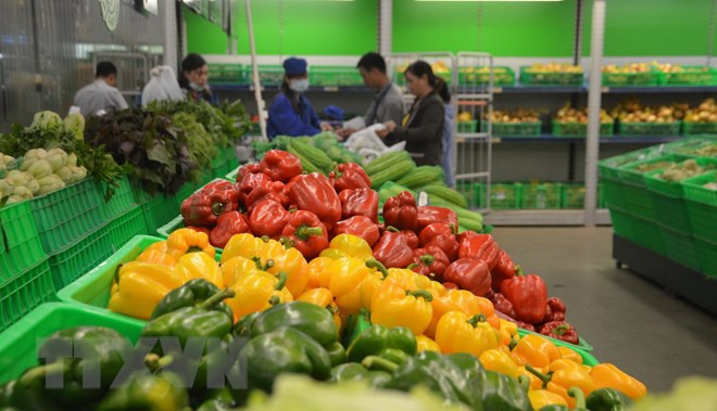 Exportaciones hortofrutícolas de Vietnam alcanzan 1,4 mil millones de dólares ảnh 1 Exportaciones hortofrutícolas de Vietnam alcanzan 1,4 mil millones de dólares ảnh 1