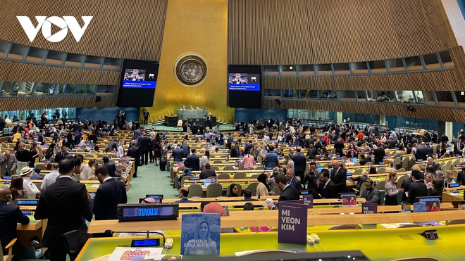 Vietnam afirma su compromiso con derechos de discapacitados ảnh 2