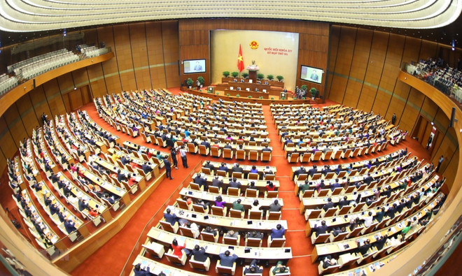 Proponen legalización para desarrollar y ampliar el modelo de médicos de familia ảnh 1 Proponen legalización para desarrollar y ampliar el modelo de médicos de familia ảnh 1