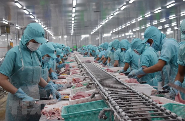 Buscan aumentar exportaciones de productos alimentarios de Vietnam a África ảnh 1 Buscan aumentar exportaciones de productos alimentarios de Vietnam a África ảnh 1