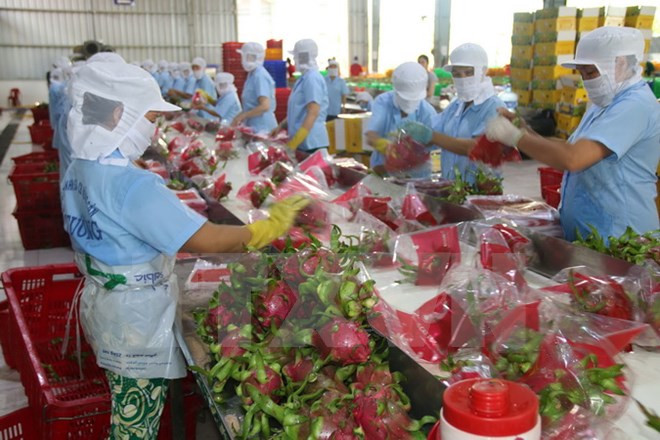 Can Tho impulsa promoción comercial al mercado australiano ảnh 1 Can Tho impulsa promoción comercial al mercado australiano ảnh 1
