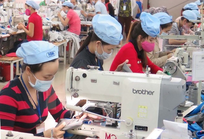 Vietnam y Brasil disponen de potencial de cooperación en agricultura y turismo ảnh 1 Vietnam y Brasil disponen de potencial de cooperación en agricultura y turismo ảnh 1