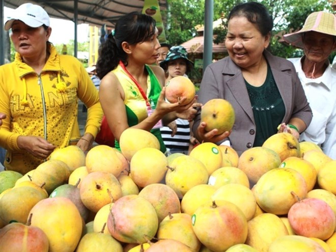 China intensifica importación de productos agrícolas vietnamitas ảnh 1 China intensifica importación de productos agrícolas vietnamitas ảnh 1